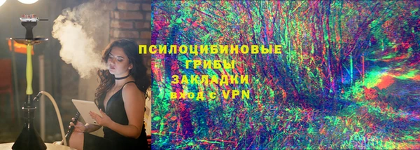 spice Кодинск