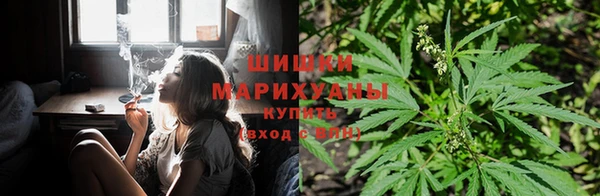 spice Кодинск